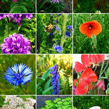 Apartamento Kawalerka U Megi Borne Sulinowo