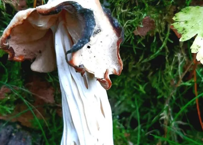 Appartamento Kawalerka U Megi *