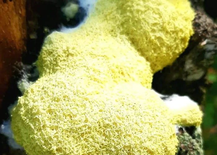 Appartamento Kawalerka U Megi Borne Sulinowo