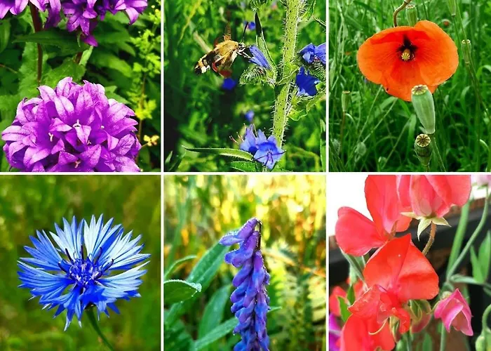 Appartamento Kawalerka U Megi Borne Sulinowo